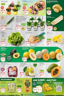 Kiwi im GLOBUS Prospekt "Aktuelle Angebote" mit 29 Seiten (Bochum)