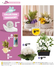 Prix et réduction Arum dans le prospectus Gifi en cours Offre Arum dans le catalogue Gifi du moment à la page 36