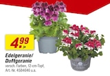 Angebot im toom Baumarkt Riesa Prospekt toom Baumarkt Riesa Prospekt mit im Angebot fĂŒr 4,99 âŹ