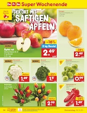 Tulpen im Netto Marken-Discount Prospekt in Lemgo Aktueller Netto Marken-Discount Prospekt mit Tulpen, "Aktuelle Angebote", Seite 37