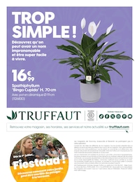 Prix et réduction Plante Vivace dans le prospectus Truffaut en cours Offre Plante Vivace dans le catalogue Truffaut du moment à la page 12