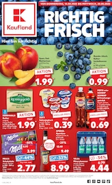 Aktueller Kaufland Supermarkt Prospekt in Ostercappeln und Umgebung, "Aktuelle Angebote" mit 64 Seiten, 14.08.2025 - 20.08.2025