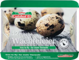 Wachteleier Angebote von Gutshof-Ei bei Netto Marken-Discount Freital für 2,99 €