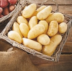 Promo Pomme de terre de consommation à chair ferme nouvelle récolte Intermarché Terroirs à 1,79 € dans le catalogue Intermarché à Saint-Florent-le-Vieil