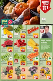 Blumen im REWE Prospekt in Kassel Aktueller REWE Prospekt mit Blumen, "Dein Markt", Seite 7