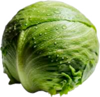 Eisbergsalat von Gut & Günstig für 0,88 € bei EDEKA im Angebot Eisbergsalat von Gut & Günstig im aktuellen EDEKA Prospekt