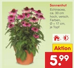 Sonnenhut Angebote bei Netto Marken-Discount Trier für 5,99 €