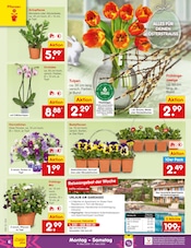 Aktueller Netto Marken-Discount Prospekt mit Pflanzen, "Aktuelle Angebote", Seite 6