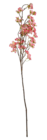 Promo Branches de fleurs à 4,99 € dans le catalogue Wibra à Halluin