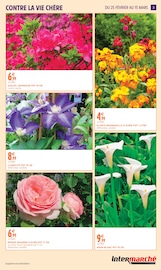 Jardinage Angebote im Prospekt "AIMEZ VOTRE JARDIN" von Intermarché Super auf Seite 3