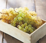 Raisin Blanc en promo chez Netto Raisin Blanc dans le catalogue Netto