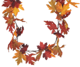 Guirlande de feuilles d'automne à Bazarland dans Campagne-sur-Aude