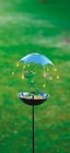 Solar Frosch mit Regenschirm Angebote von Gardem Dream bei Netto mit dem Scottie Potsdam für 12,99 €