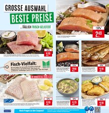 Fisch im Marktkauf Prospekt "Aktuelle Angebote" mit 85 Seiten (Offenbach (Main))