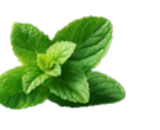 Extra Strong Mint im Kaufland Prospekt Extra Strong Mint von Wrigley's im aktuellen Kaufland Prospekt für 3,49 €