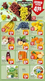 REWE Blaubeeren im Prospekt 