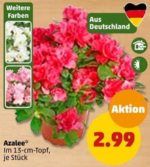 Pflanzen im aktuellen Penny-Markt Prospekt für €2.99