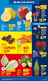 Äpfel Angebot & Preis im aktuellen Lidl Prospekt Äpfel Angebot im aktuellen Lidl Prospekt auf Seite 3