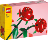 Aktuelles Rosen oder Lotusblumen Angebot bei Rossmann in Hannover ab 9,99 €