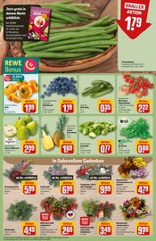 Ähnliche Erdbeerpflanzen Angebote im Prospekt "Dein Markt" von REWE in Ludwigshafen Ähnliche Angebote wie Erdbeerpflanzen im Prospekt "Dein Markt" auf Seite 9 von REWE in Ludwigshafen