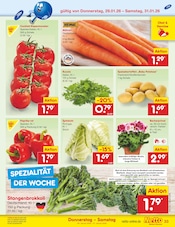 Aktueller Netto Marken-Discount Prospekt mit Paprika, "Aktuelle Angebote", Seite 41