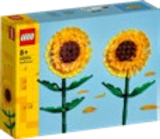 Sonnenblumen Angebote von LEGO bei Kaufland Würzburg für 9,99 €
