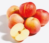 Netto mit dem Scottie Ahrensburg - Äpfel Gala Angebot im Prospekt Äpfel Gala bei Netto mit dem Scottie im Ahrensburg Prospekt für 1,15 €