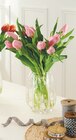 Bouquet 12 Tulipes en promo chez Intermarché Super Orléans à 4,99 €