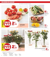 Promo Bricolage et Jardin dans le catalogue Super U du moment à la page 12