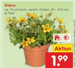 Bidens Angebote bei Netto Marken-Discount Erfurt für 1,99 €