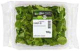 EDEKA Frischemarkt Drage - Feldsalat Angebot im Prospekt Feldsalat bei EDEKA Frischemarkt im Drage Prospekt für 1,00 €