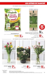 Offre Plante Aromatique dans le catalogue Hyper U du moment à la page 55