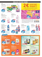 Hundefutter im V-Markt Prospekt in Regensburg Aktueller V-Markt Prospekt mit Hundefutter, "V-Markt einfach besser einkaufen", Seite 11