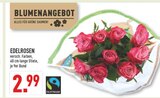 Edelrosen Angebot in Halle Edelrosen im aktuellen Prospekt bei Marktkauf in Halle