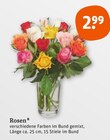 Rosen von  im aktuellen tegut Prospekt für 2,99 €