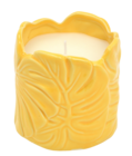 Bougie citronnelle dans le catalogue B&M