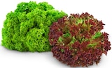 Aktuelle Gemüse Angebote bei REWE in Wiesbaden Aktuelles Lollo Bionda Salat Angebot bei REWE in Wiesbaden ab 0,99 €