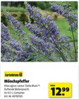 Mönchspfeffer bei Hagebaumarkt im Ebern Prospekt für 12,99 €