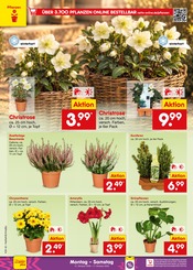 Ähnliche Terrassenplatten Angebote im Prospekt "Aktuelle Angebote" von Netto Marken-Discount in Lüdenscheid Ähnliche Angebote wie Terrassenplatten im Prospekt "Aktuelle Angebote" auf Seite 23 von Netto Marken-Discount in Lüdenscheid