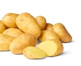 Aktuelle Kartoffeln Angebote bei Penny in Wuppertal Aktuelles Deutsche Speisekartoffeln Angebot bei Penny in Wuppertal ab 4,44 €