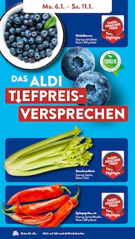 Aktueller ALDI SÜD Prospekt "Gutes für Alle." mit 44 Seiten