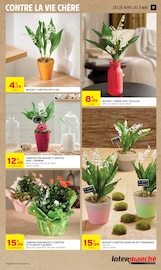 Muguet en promo dans le catalogue Intermarché Hyper à la page 17
