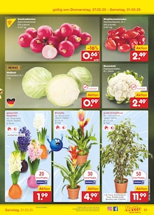 Bio Zitronen Angebot im aktuellen Netto Marken-Discount Prospekt auf Seite 55