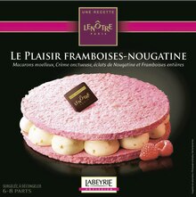 Le Plaisir Framboises Nougatine surgelé - Géant Casino à Versailles Le Plaisir Framboises Nougatine surgelé en promo chez Géant Casino Versailles à 4,95 €