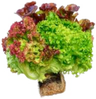 Ballensalat Mix von EDEKA Herzstücke für 1,11 € bei Marktkauf im Angebot Ballensalat Mix von EDEKA Herzstücke im aktuellen Marktkauf Prospekt