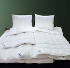 Aktuelles Daunenkissen Angebot bei Möbel Martin in Mannheim ab 49,99 €