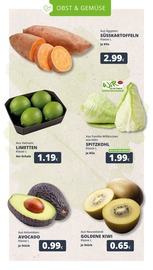 Aktueller REWE Prospekt mit Kartoffeln, "Dein Markt", Seite 7