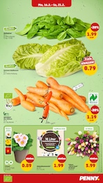 Pflanzen Angebot im aktuellen Penny Prospekt auf Seite 5