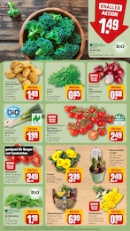 Gartenmöbel Angebot im aktuellen REWE Prospekt auf Seite 7