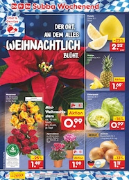 Weihnachtsstern im Netto Marken-Discount Prospekt Aktuelle Angebote auf S. 52